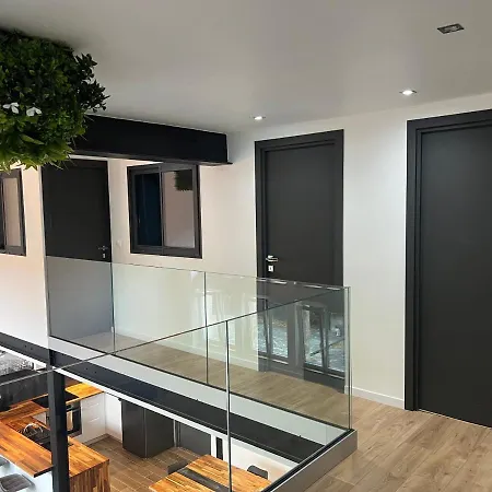 Loft Entier Centre Et Parking Nancy